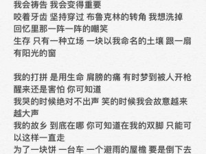 周杰伦纽约地铁歌词的翻译与分享：华语音乐在都市的旋律中绽放光彩