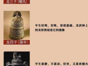 九龙朝法器攻略大全：揭秘九龙法器的奥秘与高效使用方法