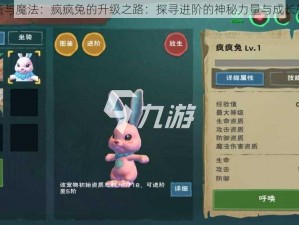 创造与魔法：疯疯兔的升级之路：探寻进阶的神秘力量与成长轨迹