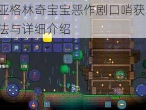 泰拉瑞亚格林奇宝宝恶作剧口哨获取攻略：获取方法与详细介绍