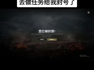 电脑被PUBG封禁IP玩家遭封锁成因分析及应对之策