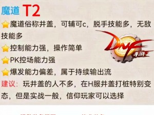 DNF100级全新升级攻略：角色预约与选择建议 —— 探索最佳角色练就强者之路