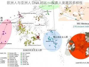 欧洲人与亚洲人 DNA 对比——探索人类基因多样性