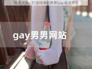 同志交友：打造纯净的男男Gay 社交平台