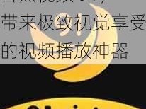 香蕉视频 91，带来极致视觉享受的视频播放神器