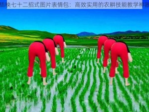 插秧七十二招式图片表情包：高效实用的农耕技能教学神器