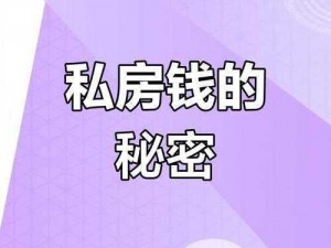 揭秘私房钱藏匿攻略：找到老婆的私房钱第3集第10关攻略全解析