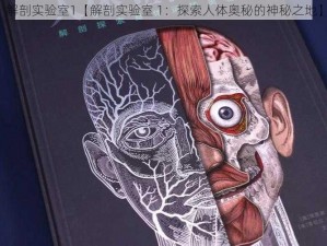 解剖实验室1【解剖实验室 1：探索人体奥秘的神秘之地】