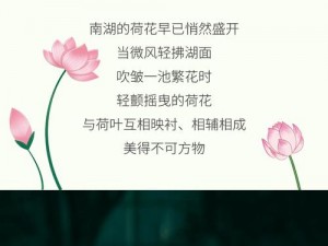 荷你相约，牡好时光