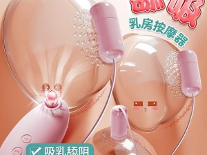 厨房激战大乳熟女 A 片：情趣用品，提升夫妻生活质量的秘密武器