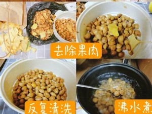 烹饪女巫果子的秘密：获取方法与制作指南揭秘