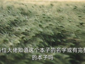 优质黑土被爆 X 自慰爽 nanto，让你感受不一样的刺激