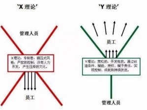 X 理论和 Y 理论的人性基础