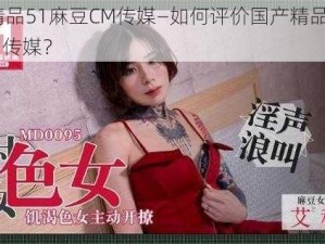 国产精品51麻豆CM传媒—如何评价国产精品 51 麻豆 CM 传媒？