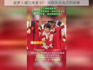 拔萝卜痛又降黄 91：网络热点背后的故事