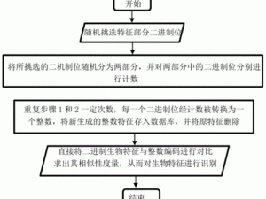 二进制领域双显卡切换难题解析与应对策略：实用解决方案揭秘