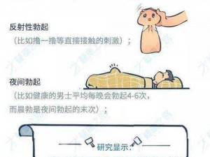 午夜 18 禁成人用品，激情之夜的必备选择