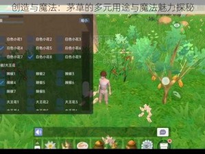 创造与魔法：茅草的多元用途与魔法魅力探秘