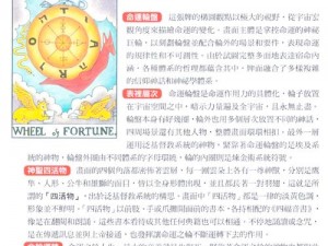 命运之戒揭秘：全方位指南教你如何洞悉牌组奥秘，洞悉牌组策略与技巧