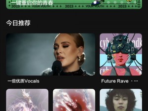 一款提供欧美 MV 视频免费下载的 APP