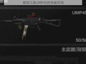 黎明之路UMP45的性能评测