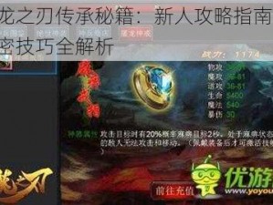 屠龙之刃传承秘籍：新人攻略指南——秘密技巧全解析