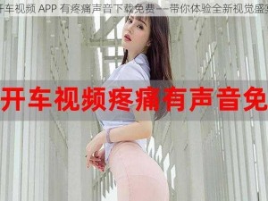 开车视频 APP 有疼痛声音下载免费——带你体验全新视觉盛宴