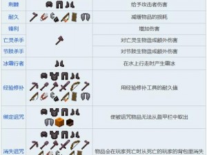 全面解析：我的世界附魔之瓶制作攻略及其独特功能介绍