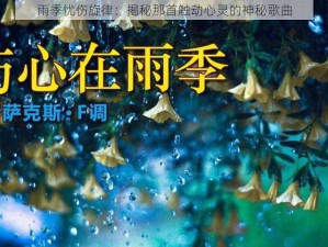 雨季忧伤旋律：揭秘那首触动心灵的神秘歌曲