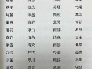 两个妈妈双字 ID 免费大放送永久使用，无广告骚扰