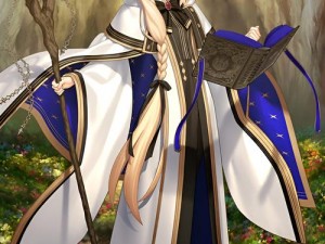 FGO X毛宝具本深度解析：强化效果一览及实用性探讨