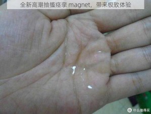 全新高潮抽搐痉挛 magnet，带来极致体验