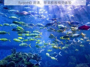 fuqerHD 高清，带来极致视觉体验