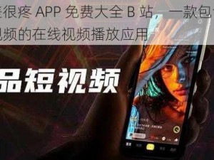 差差差很疼 APP 免费大全 B 站，一款包含各种类型视频的在线视频播放应用