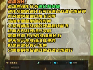 超级地城之光战魂升级攻略：快速进阶指南与技巧分享