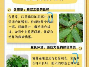 含羞草的茎早晚上的特点_含羞草的茎在早晚有什么不同？