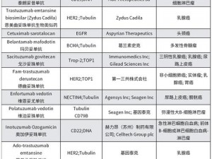 09adc年龄确认海外(09adc 年龄确认海外版，真的安全吗？)