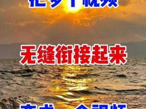 400 多个成品视频，内容丰富多样，涵盖各种类型，满足不同需求