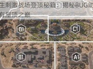 绝地求生刺激战场登顶秘籍：揭秘BUG助您轻松征服所有屋顶之巅