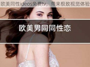 欧美同性ideos免费tv，带来极致视觉体验