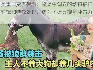 牧场另类重口变态视频：牧场中饲养的动物被拍摄下来，经过剪辑和特效处理，成为了极具视觉冲击力的视频产品