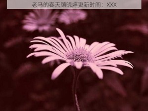 老马的春天顾晓婷更新时间：XXX