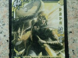 三国杀耐玩武将深度解析：探寻其独特魅力与策略深度之二