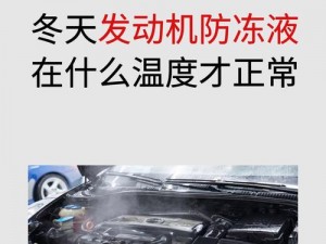 乌克兰 ZOOMKOOL 高性能冷却剂，有效降低设备温度