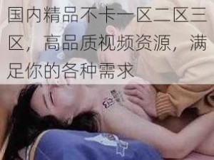 国内精品不卡一区二区三区，高品质视频资源，满足你的各种需求