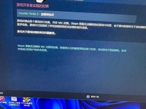 CSGO计算机屏蔽VAC系统解决方法：解决VAC系统屏蔽的有效措施与指南