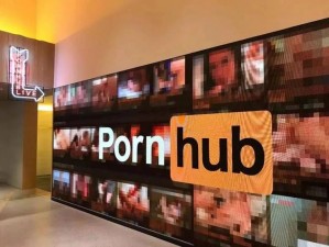 Pornhub 激情综合在线，高清视频，精彩不断