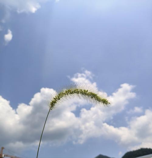 亚洲精品黄网址涩精巨大蛋蛋,高质量的成人用品,让你体验前所未有的快感
