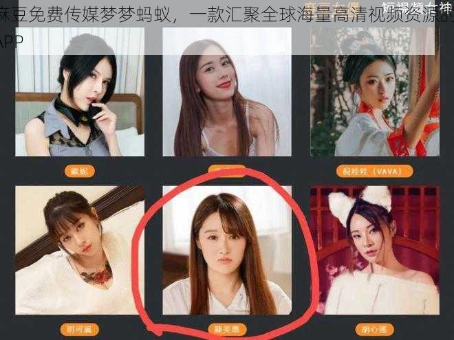 麻豆免费传媒梦梦蚂蚁,一款汇聚全球海量高清视频资源的 APP
