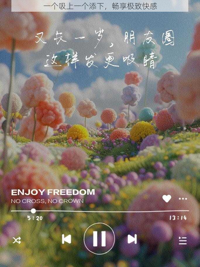 一个吸上一个添下，畅享极致快感